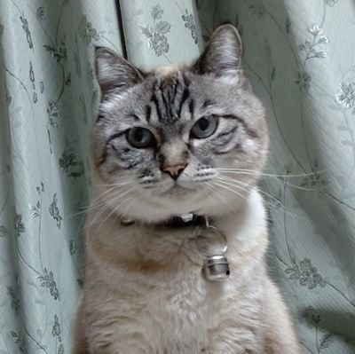 N1959Takahito's profile picture. 浜田省吾ファンクラブ会員　愛と誠.ブルース・リー.ランボルギーニ.映画.まる.リオ .ロン.寅さん.優作好きです。既婚者です。職業タクシードライバー。YouTubeもみてね。DMのやりとりはしない派です、不愉快なコメントした方はブロックします。https://t.co/OnmHPp1iuZ…