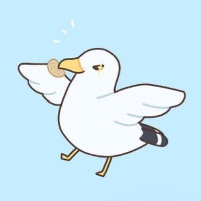 SeagullInternet's profile picture. ☭