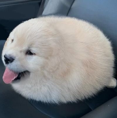 bokuさんのプロフィール画像