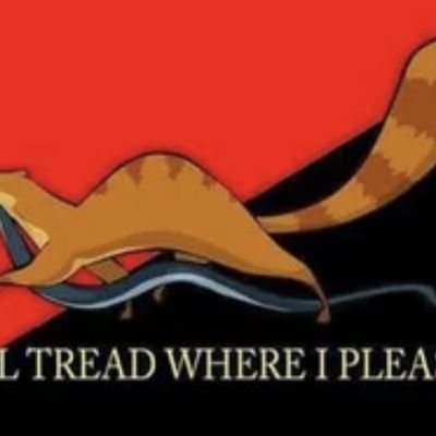 I left the Republican party - they haven't represented anything I believe in for a long time.