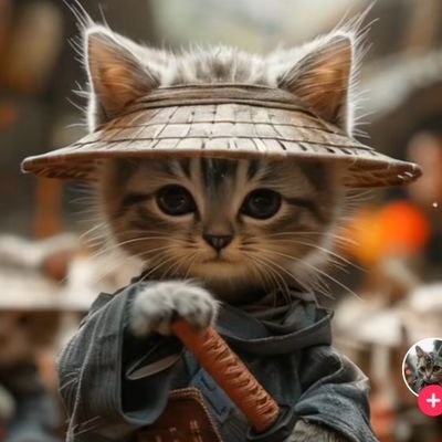 先輩の猫さんに対する気持ちが好きです。無償で、ミルクボランティアもします。旅行に行きたい人の方のにゃんこも預かります。絶対に迎えに来て下さいね。