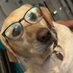 NameCannotBeBlank👀 (@rubio011rubio) Twitter profile photo NameCannotBeBlank👀 (@rubio011rubio) Twitter profile photo
