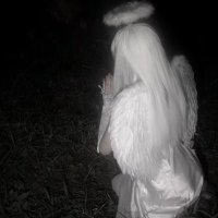 livi (@liviedz) 's Twitter Profile Photo livi (@liviedz) 's Twitter Profile Photo