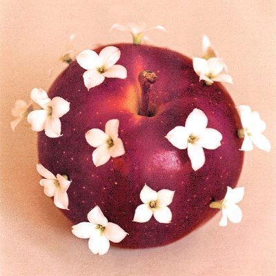 squettle's profile picture. 🤸‍♀️