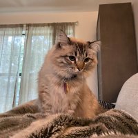 IamHouston (@iamhouston) 's Twitter Profile