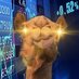 Camel Finance YT โก๏ธ (@fiinance_camel) Twitter profile photo Camel Finance YT โก๏ธ (@fiinance_camel) Twitter profile photo