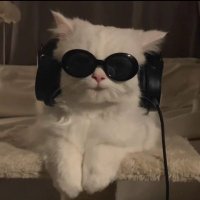 EU CODM (@eu_codm) 's Twitter Profile Photo