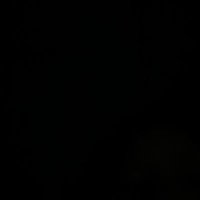 . (@xdniela) 's Twitter Profile