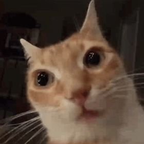 @Theodoryyy