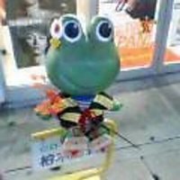 のんき (@nonkinonki) 's Twitter Profile Photo のんき (@nonkinonki) 's Twitter Profile Photo