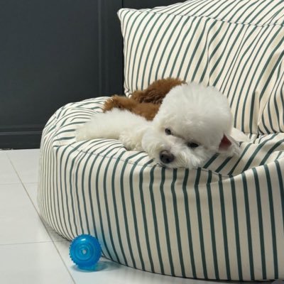 heart2392753036's profile picture. おれのこと蹴るだけ蹴っても痛えのはお前だろ！💼🍔🍟☕️