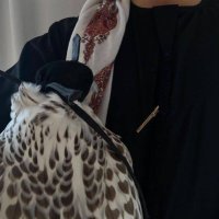 سنجارِ (@al3thbe_7) 's Twitter Profile