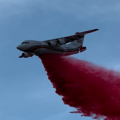 BrendonL123's profile picture. 🔫🇺🇸AFEO