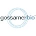 Gossamer Bio (@gossamerbio) Twitter profile photo Gossamer Bio (@gossamerbio) Twitter profile photo