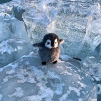 ひとりごと (@moh_1510) Twitter profile photo