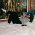 zan’s mom (@bimbocowgirl) Twitter profile photo zan’s mom (@bimbocowgirl) Twitter profile photo
