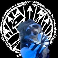 raccoon 🔻 (@raccoonpupy) 's Twitter Profile