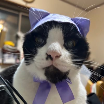 kotorin_JUMP's profile picture. 五姉妹の母/Hey!Say!JUMP親子で応援/MADKID(娘 YOU-TA君推し・母YUKI君&SHIN君寄りの箱推し)