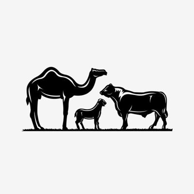 @agriculturemena com.الابل.com | www.الغنم.www