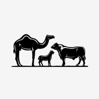 سوق الابل و الغنم 🐪🐏 (@camel_sheep) 's Twitter Profile