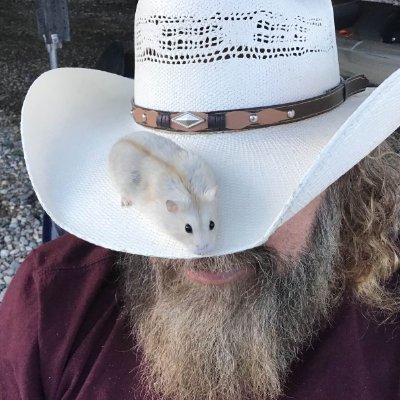 WebNate's profile picture. Software development consultant, writer, itinerant
