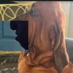 Frederico_2016's profile picture. I CAN SEE FOREVER!