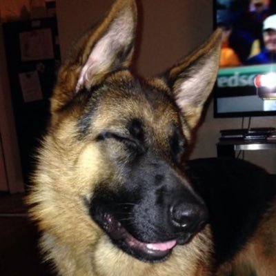 bj0rxa's profile picture. art only acc so browsing my media tab on main isn’t a nightmare . works best when u click on the image and swipe left 2 scroll . main: @bj0rca