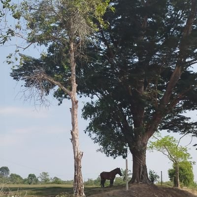 AlejandroEc15's profile picture. 