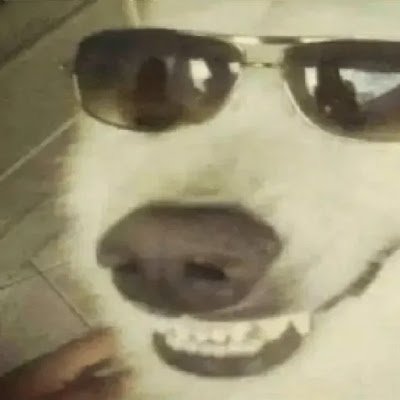 JeffersonBR415's profile picture.