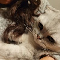 Yasemin (@cdzkorjebbb) 's Twitter Profile