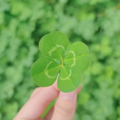 rgxvnl82LC5076's profile picture. webデザイン勉強アカウント⚠コンテンツ販売(LINE誘導等含む)の方はﾌｫﾛﾊﾞのみ|現在はHTML&CSS勉強中|HP制作で沢山の人をサポートしたい|