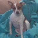 Meagan Douglas - @meag0616 - Twitter