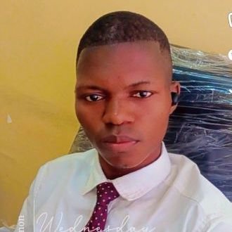 Lybothesalomon's profile picture. 