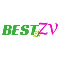 Bestzv (@bestzv1) 's Twitter Profile
