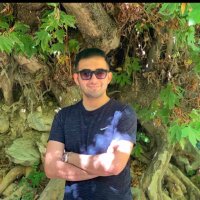 Hossein Salehi Omran (@somran_hossein) 's Twitter Profile