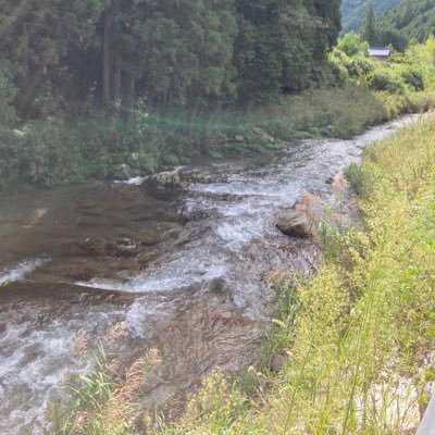 bluestar567's profile picture. 