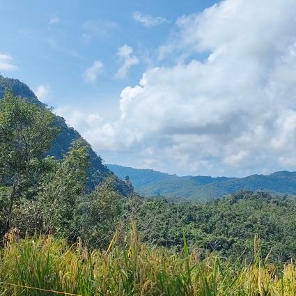 loveyoudurian's profile picture. 