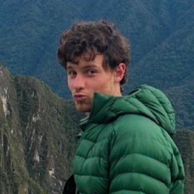 Este usuario quiere un abrazo de Harry Styles y Shawn Mendes