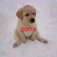 Like (@likehx_) 's Twitter Profile