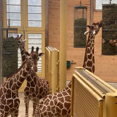 exploringx23's profile picture. Everything will turn out good in the end!