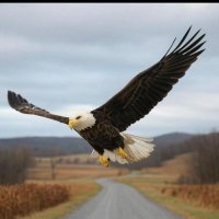 JustFacts57 (@youdecide_2025) 's Twitter Profile