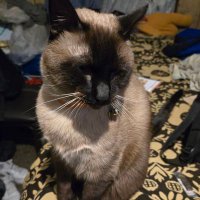 James Mcfly (@jimmy_patin85) 's Twitter Profile Photo