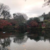 ぼし (@boshiiiiibo) 's Twitter Profile