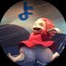 ちえりー💙🍒🐼 (@bdipzb) Twitter profile photo ちえりー💙🍒🐼 (@bdipzb) Twitter profile photo