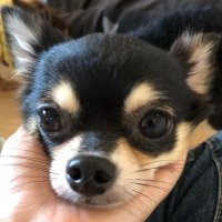 ป๋องแป๋ง🥤 (@punnmile2y19) 's Twitter Profile Photo ป๋องแป๋ง🥤 (@punnmile2y19) 's Twitter Profile Photo