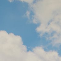 吉田大洋 🎻【Shukuya men】 (@syukuya_yoshida) 's Twitter Profile