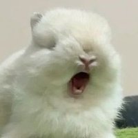 ajem (@ajemscript) 's Twitter Profile Photo ajem (@ajemscript) 's Twitter Profile Photo