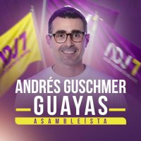 Andrés Guschmer Tamariz (@aguschmer) 's Twitter Profile