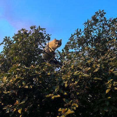 bukowskii__'s profile picture. 🚶🏻‍♀️