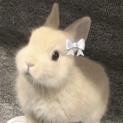🐰웹소설 추천계
매일 웹소설추천해주는 조용한 오카방 운영중. (성인/여성분만 오셔요💗)
제가 다읽은 것은 아니지만 제 주관에 따라 추천합니다.